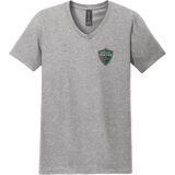 Lansing Spartans Softstyle V-Neck T-Shirt